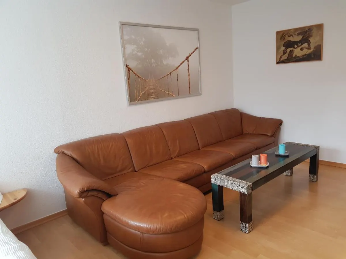 Elisenstrasse - Elbe Und Terrassenufer, 34 Qm Apartment Dresden Germany