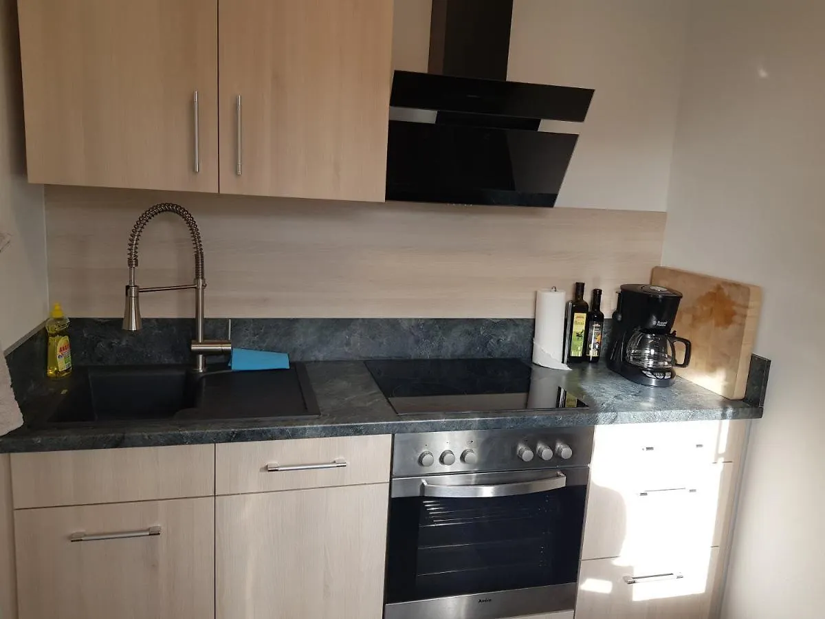 Elisenstrasse - Elbe Und Terrassenufer, 34 Qm Apartment Dresden Germany
